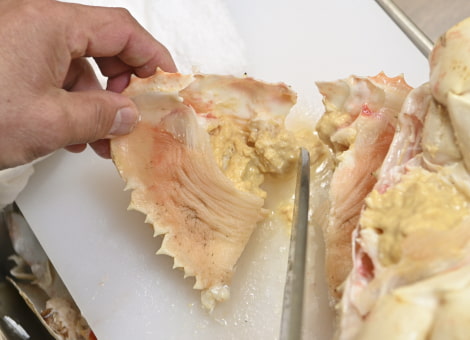 ふんどしの写真